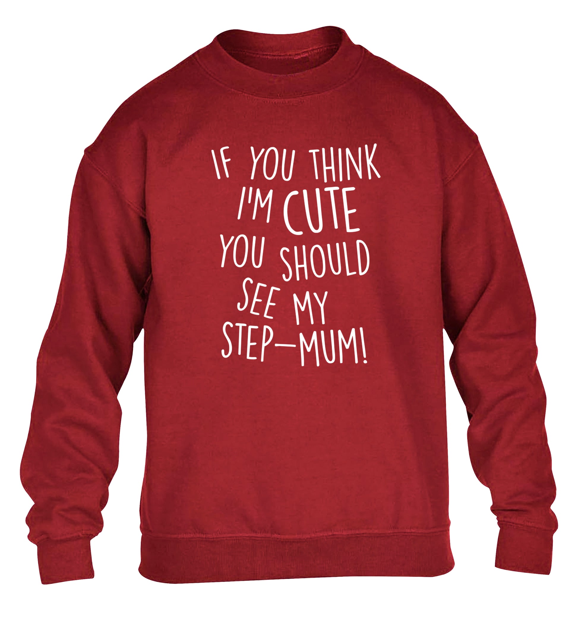 If you think I'm cute you should see my step-mum children's grey sweater 12-13 Years