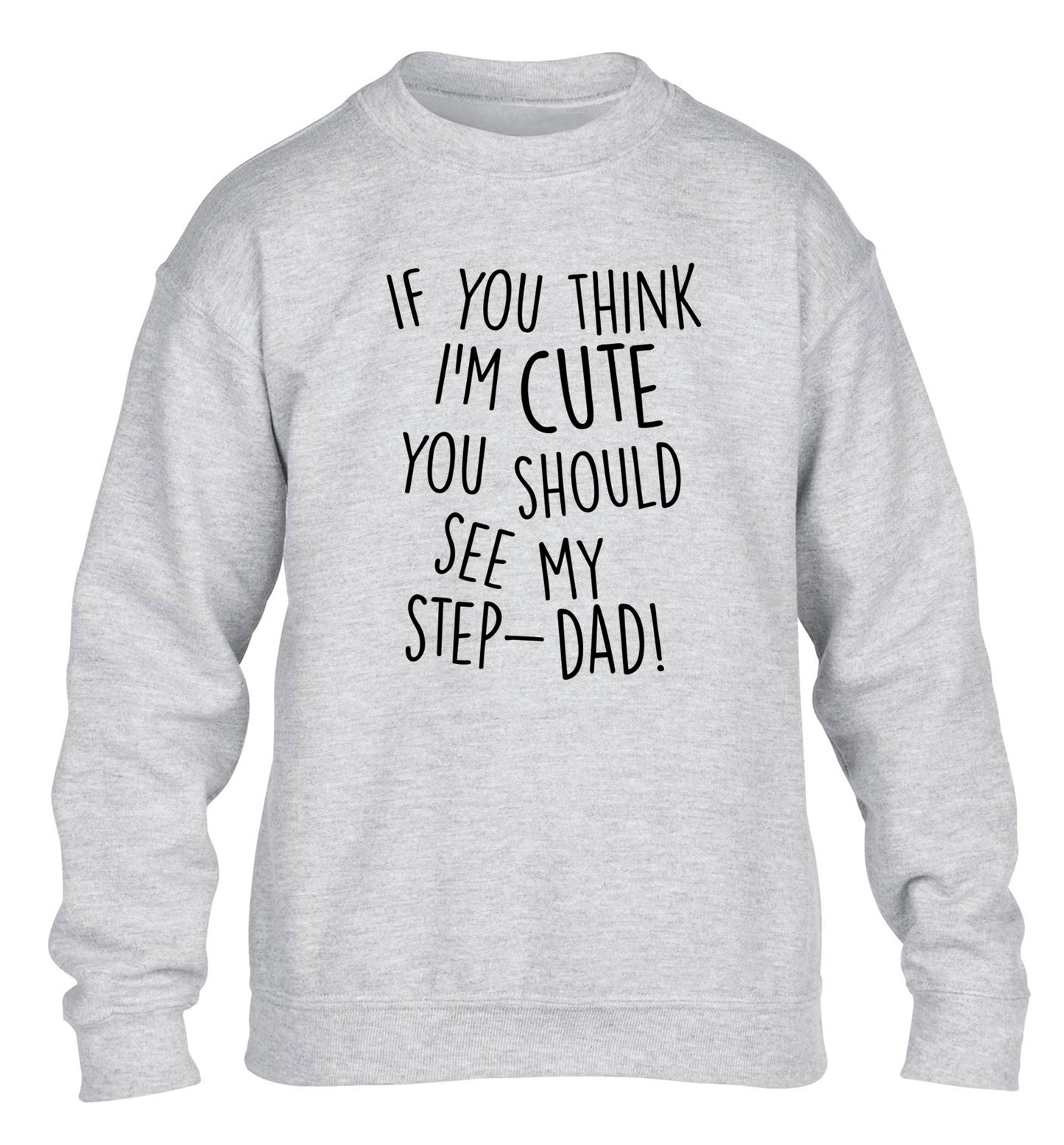 If you think I'm cute you should see my step-dad children's grey sweater 12-14 Years