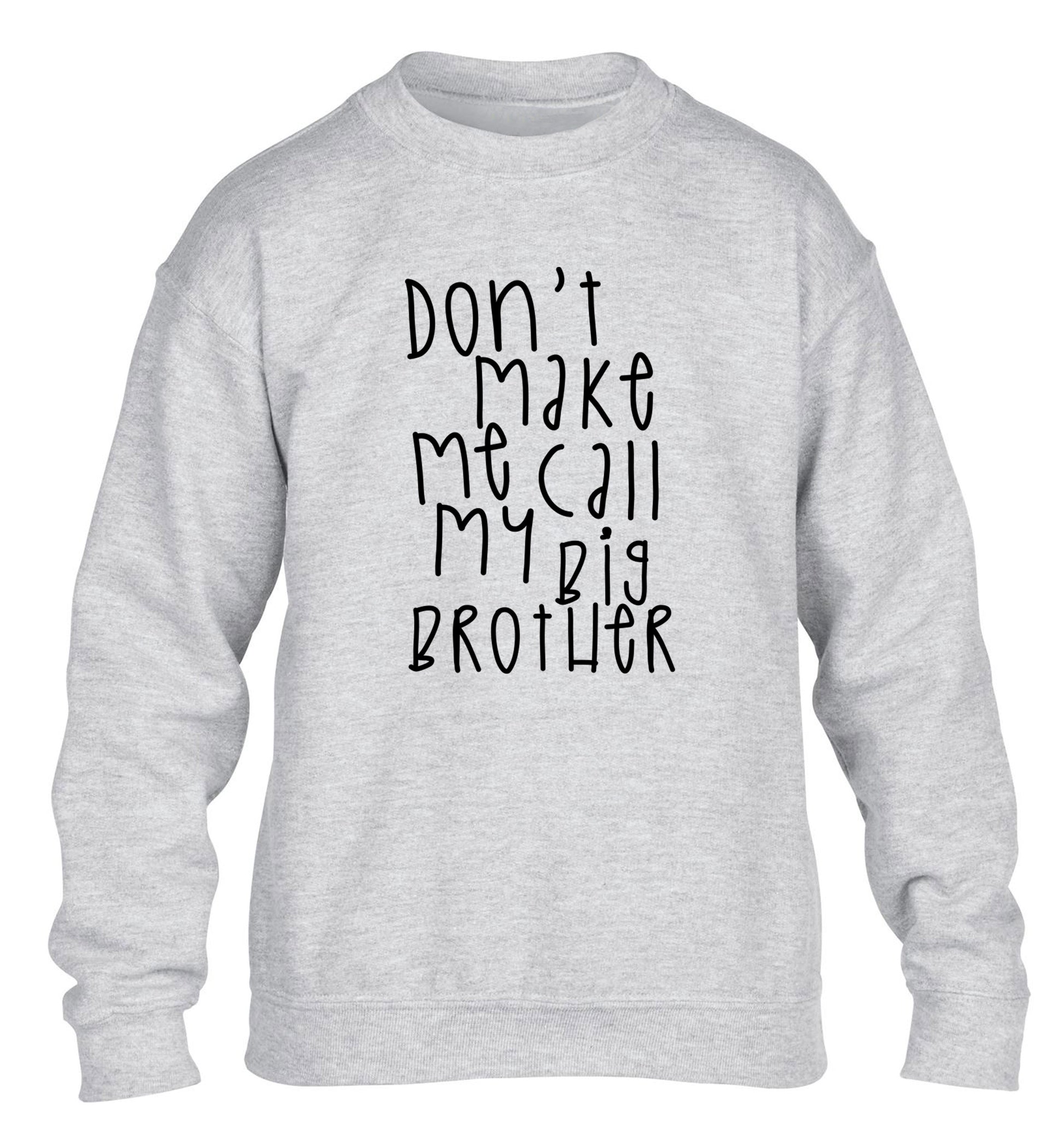 Don't make me call my big brother children's grey sweater 12-14 Years