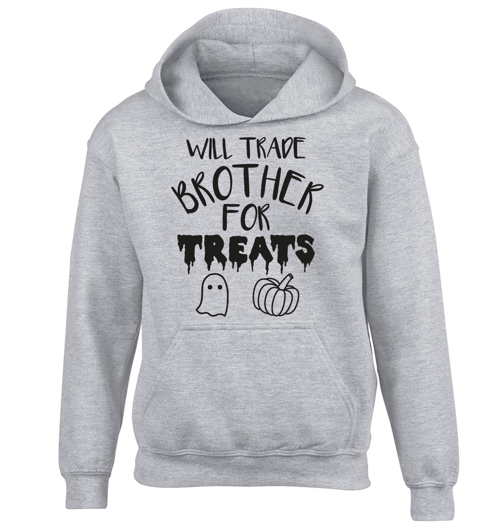 Will trade brother for treats children's grey hoodie 12-14 Years