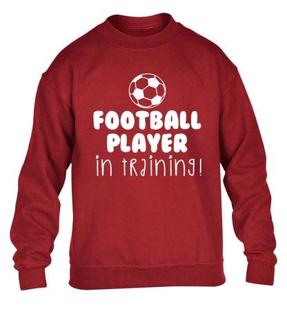 Football player in training children's grey sweater 12-14 Years
