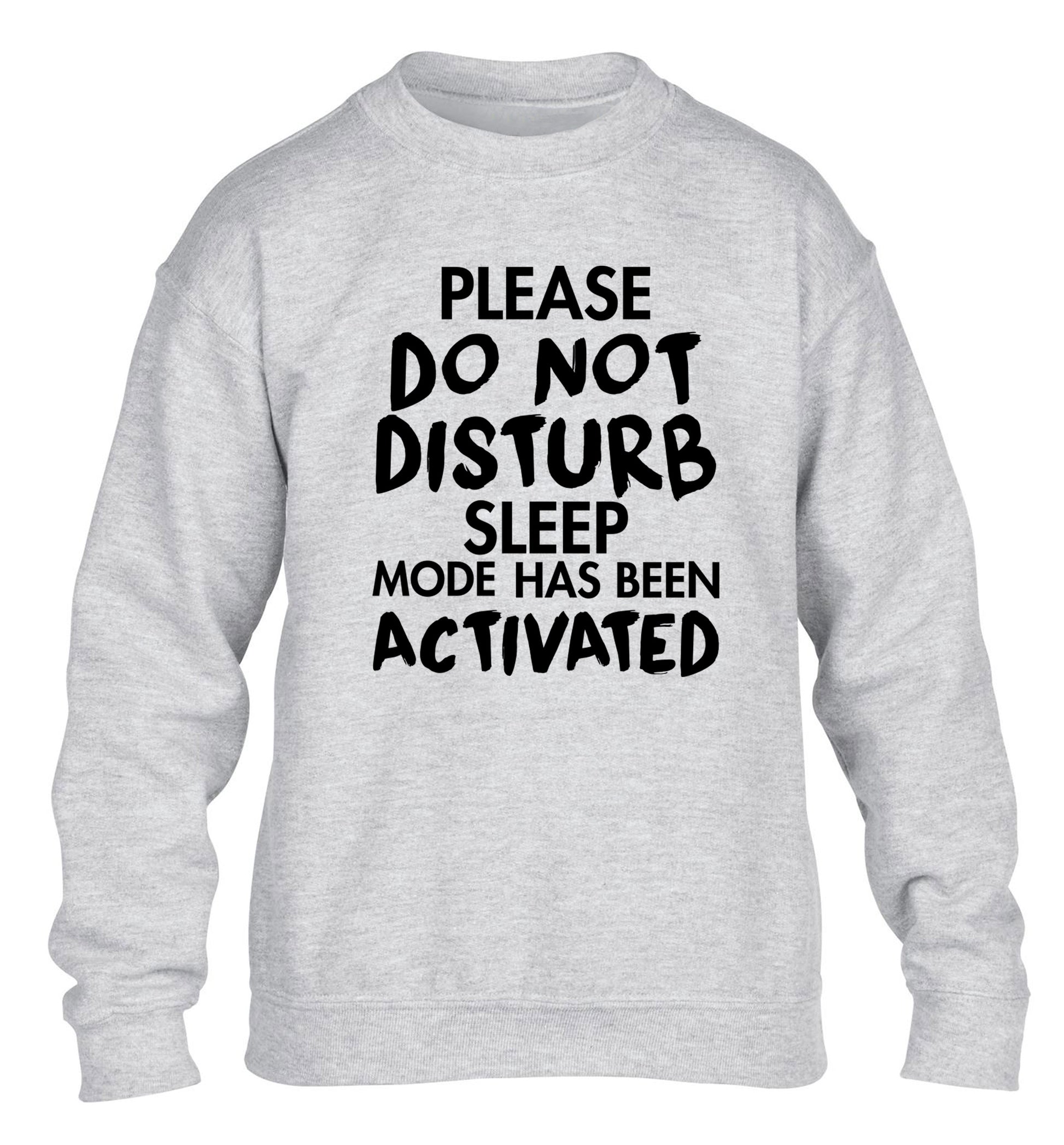 Please do not disturb sleeping mode has been activated children's grey sweater 12-14 Years