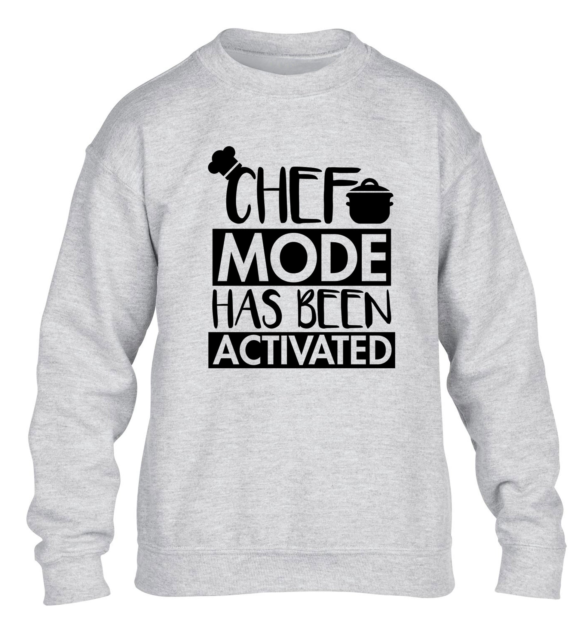 Chef mode has been activated children's grey sweater 12-14 Years