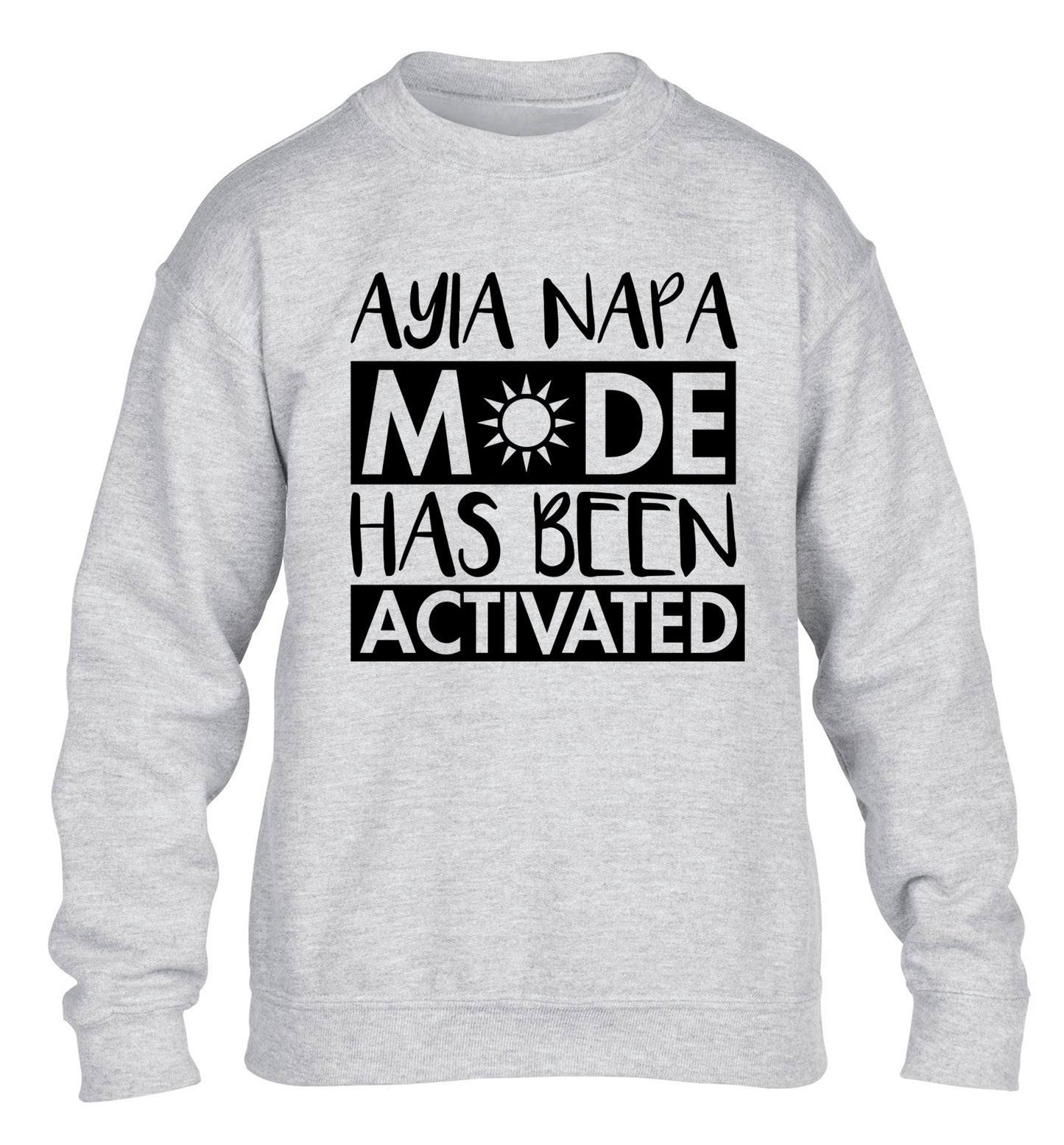 Aiya Napa mode has been activated children's grey sweater 12-14 Years