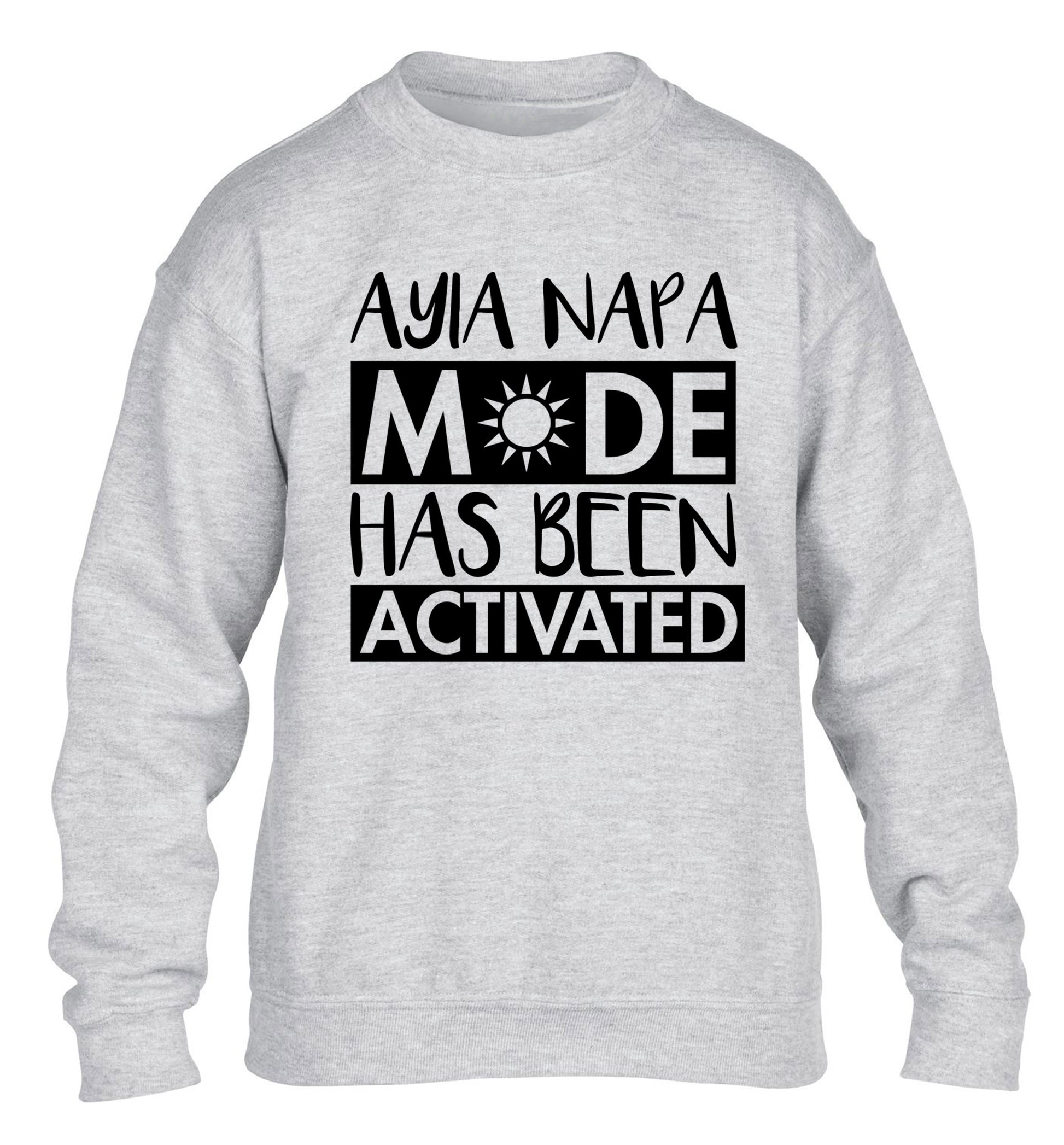 Aiya Napa mode has been activated children's grey sweater 12-14 Years