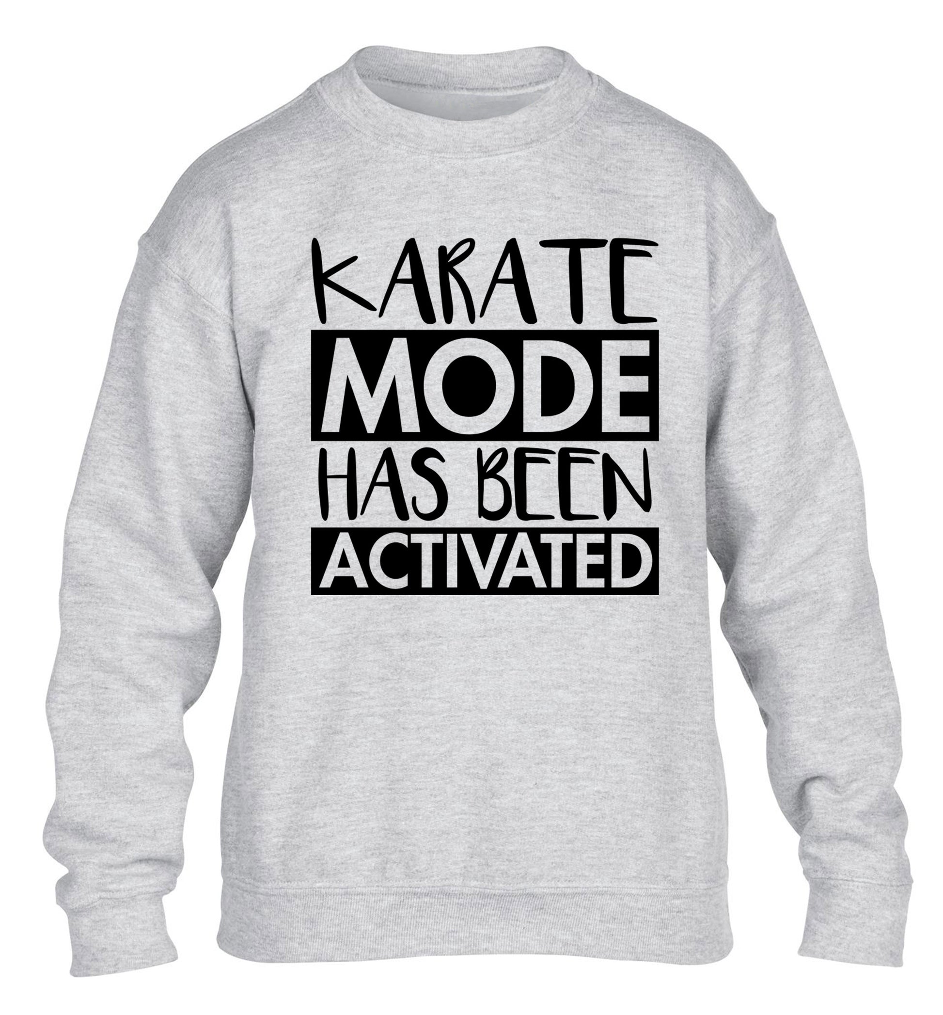 Karate mode activated children's grey sweater 12-14 Years