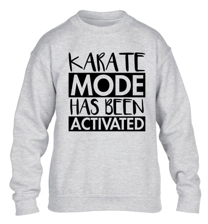 Karate mode activated children's grey sweater 12-14 Years