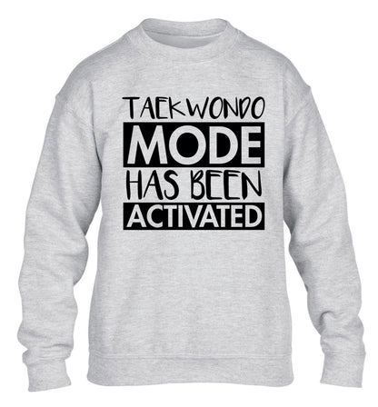 Taekwondo mode activated children's grey sweater 12-14 Years