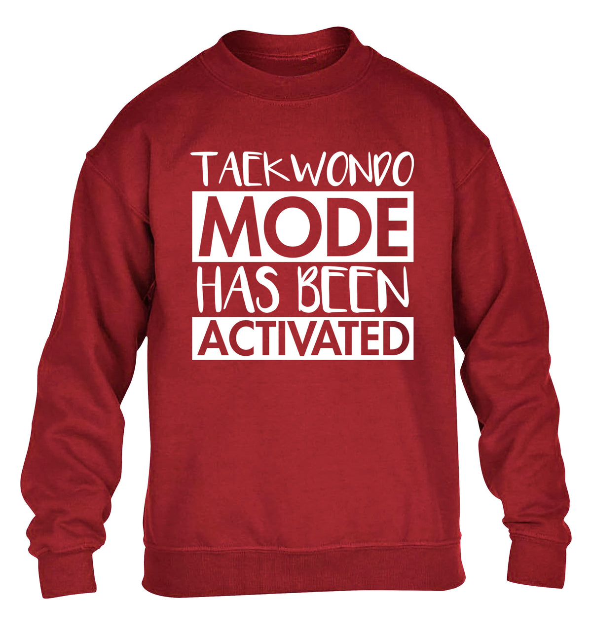 Taekwondo mode activated children's grey sweater 12-14 Years