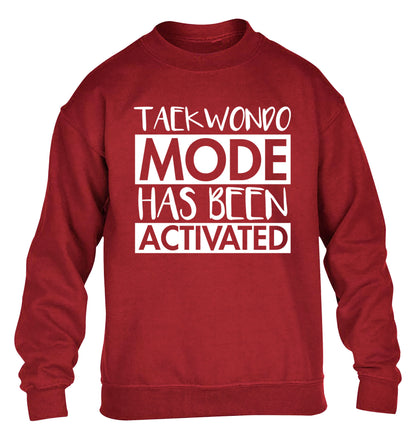 Taekwondo mode activated children's grey sweater 12-14 Years