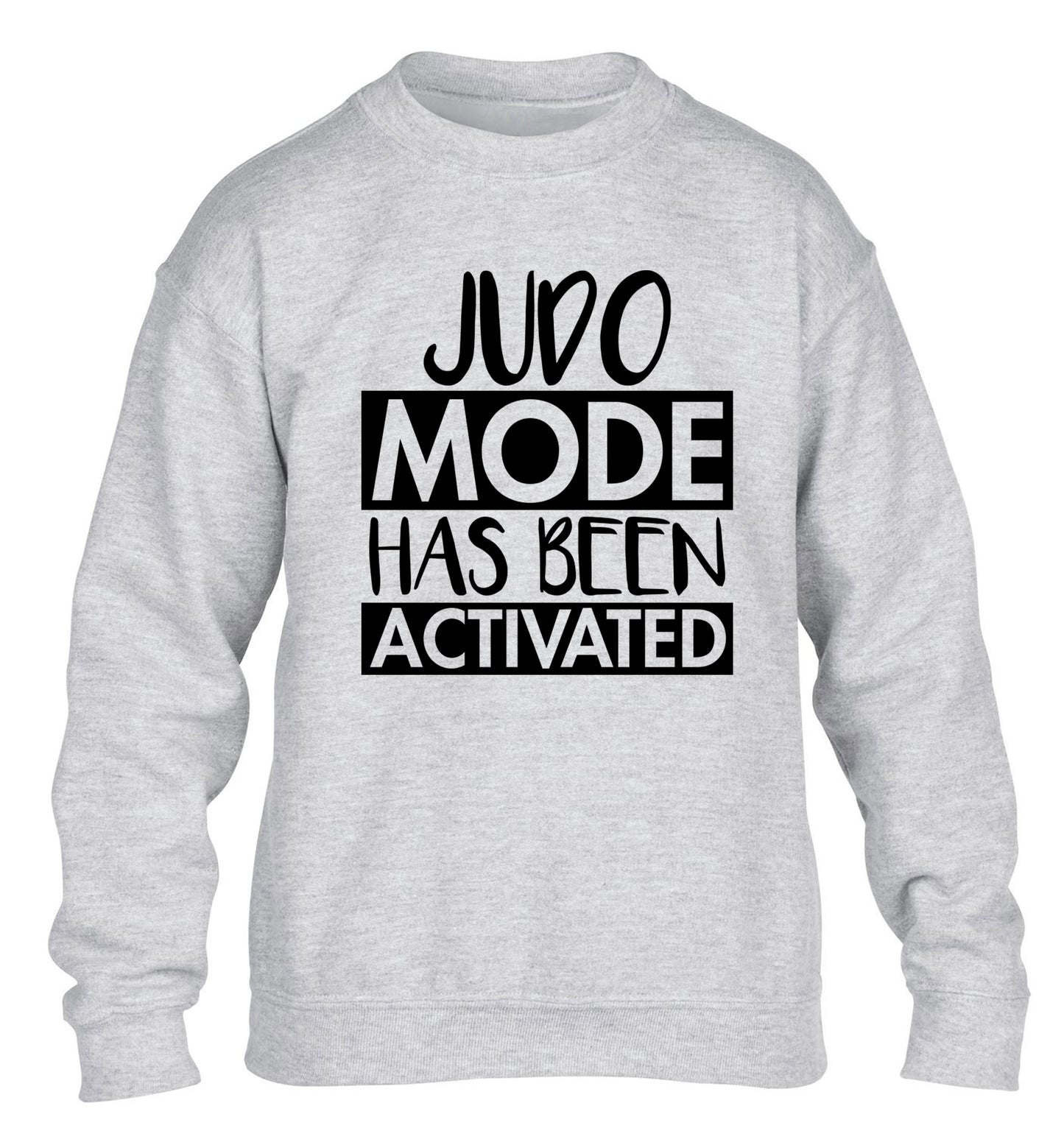 Judo mode activated children's grey sweater 12-14 Years