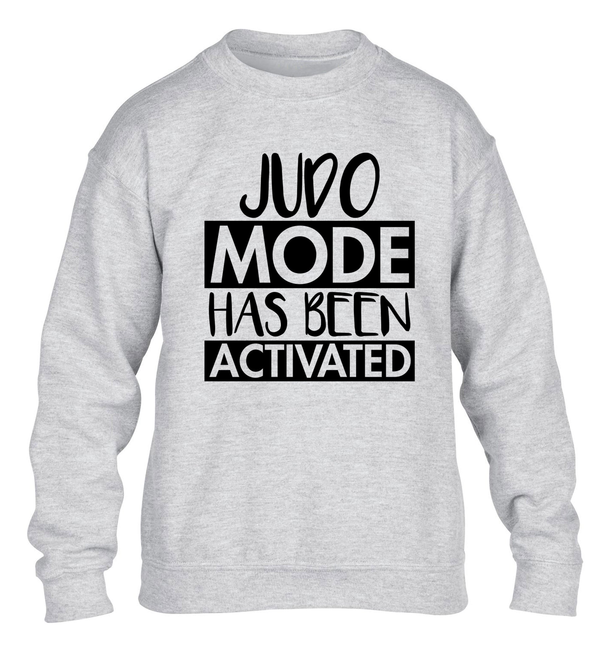 Judo mode activated children's grey sweater 12-14 Years
