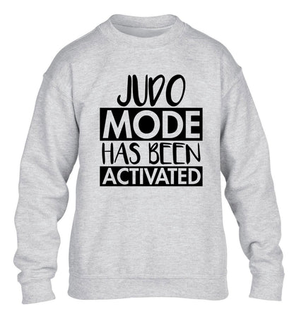 Judo mode activated children's grey sweater 12-14 Years
