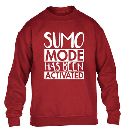Sumo mode activated children's grey sweater 12-14 Years