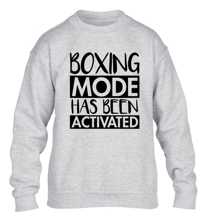Boxing mode activated children's grey sweater 12-14 Years