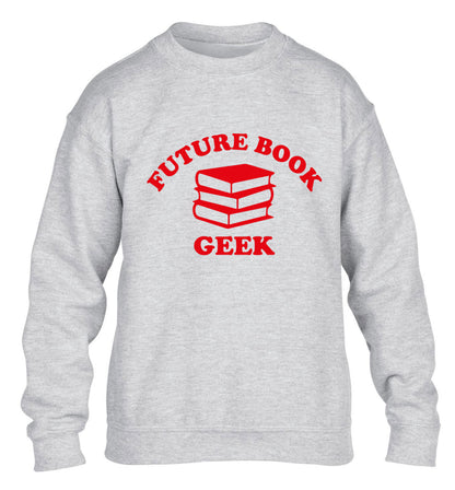 Future book geek children's grey sweater 12-14 Years