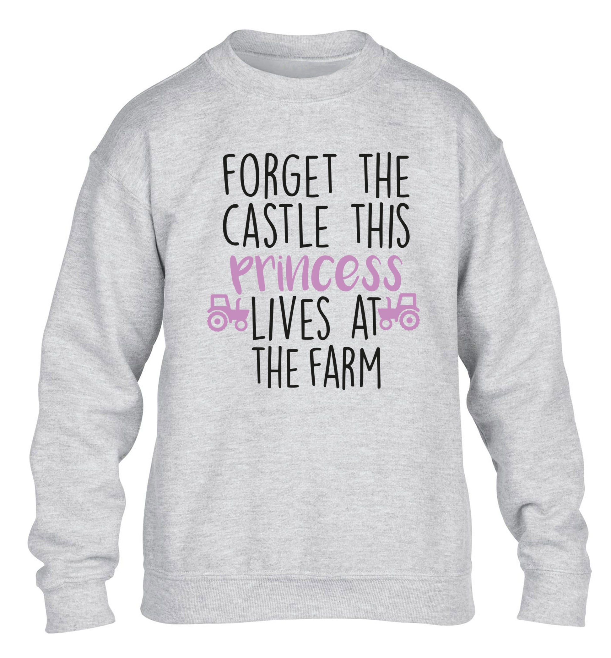 Forget the castle this princess lives at the farm children's grey sweater 12-14 Years