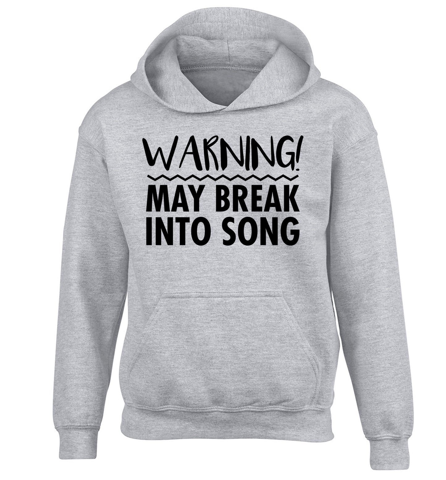 Warning may break into song children's grey hoodie 12-14 Years