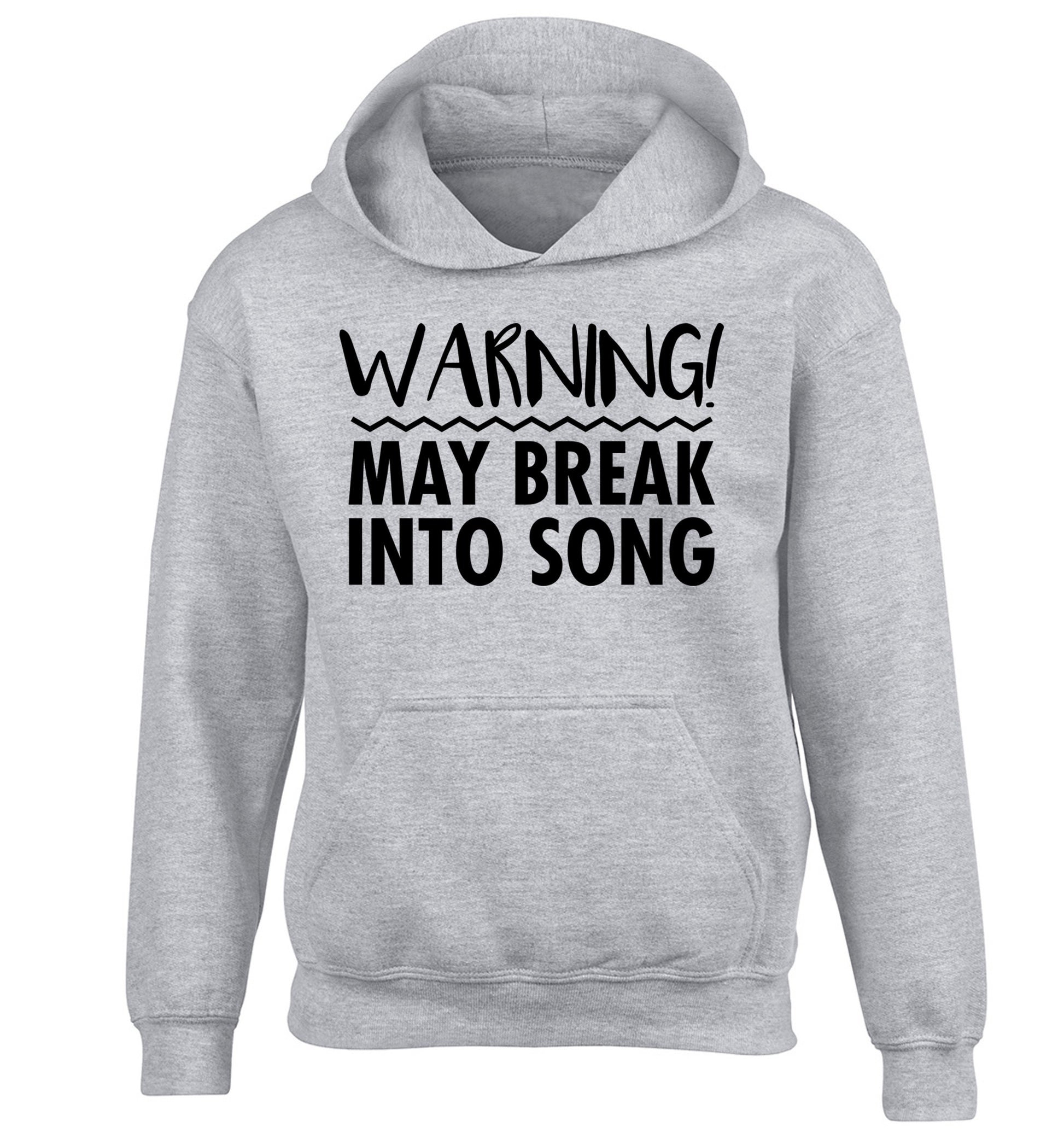 Warning may break into song children's grey hoodie 12-14 Years