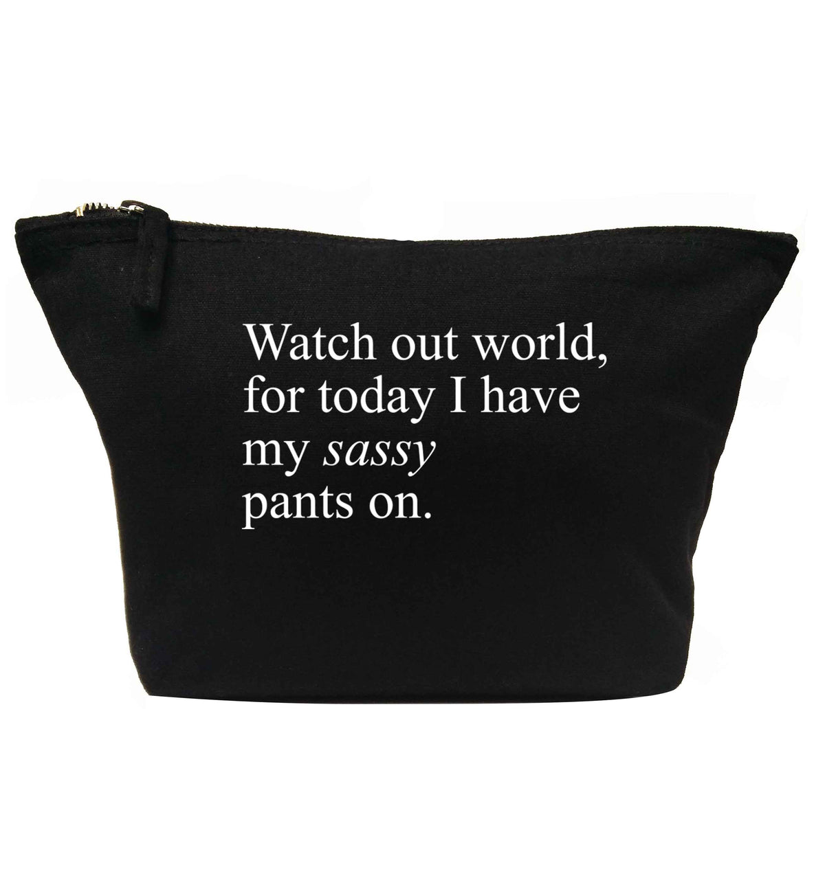 Watch out world for today I have my sassy pants on | Makeup / wash bag