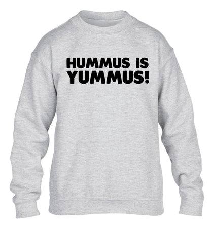 Hummus is Yummus  children's grey sweater 12-14 Years