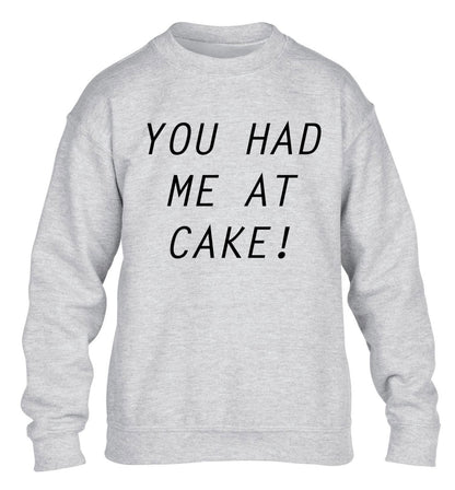 You had me at cake children's grey sweater 12-14 Years