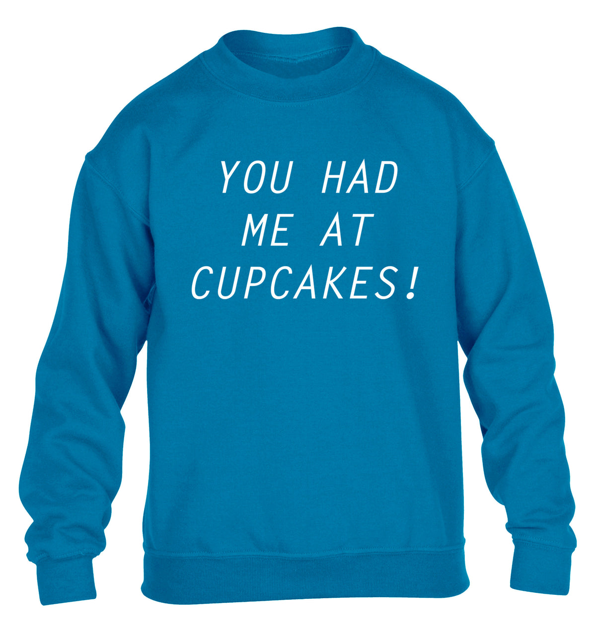 You had me at cupcakes children's blue sweater 12-14 Years