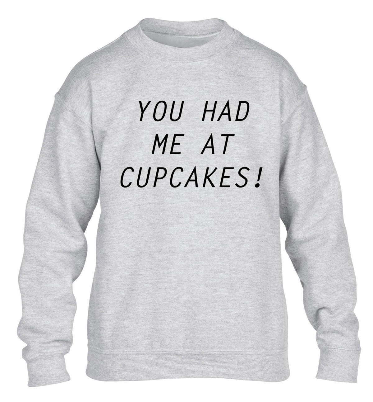 You had me at cupcakes children's grey sweater 12-14 Years