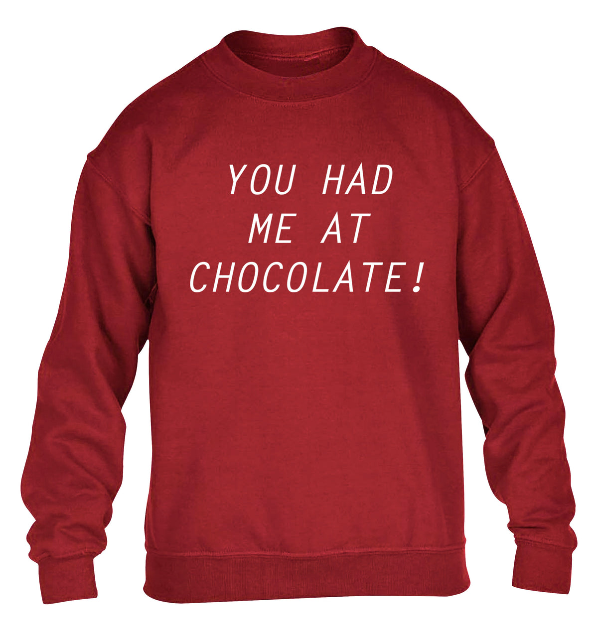 You had me at chocolate children's grey sweater 12-14 Years