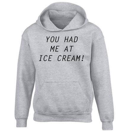 You had me at ice cream children's grey hoodie 12-14 Years