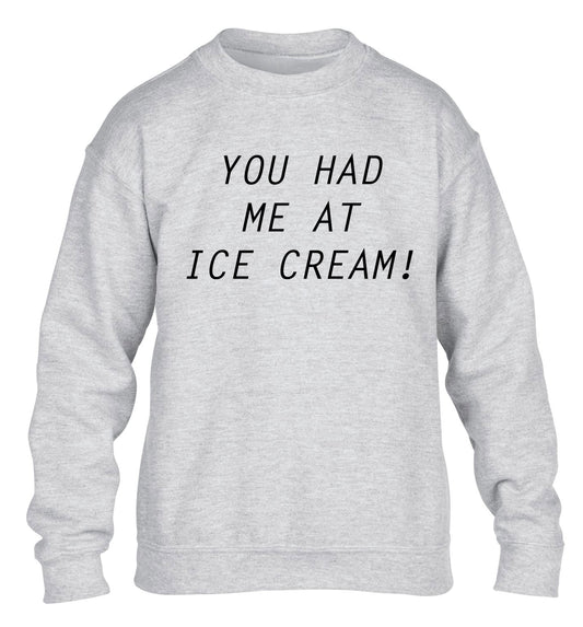 You had me at ice cream children's grey sweater 12-14 Years