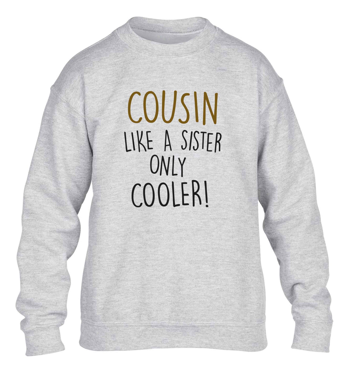 Cousin like a sister only cooler children's grey sweater 12-13 Years