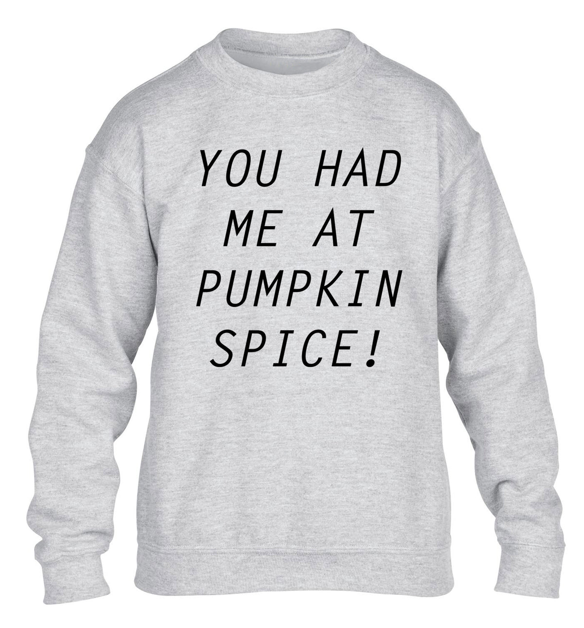 You had me at pumpkin spice children's grey sweater 12-14 Years