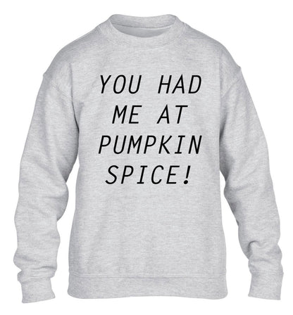 You had me at pumpkin spice children's grey sweater 12-14 Years