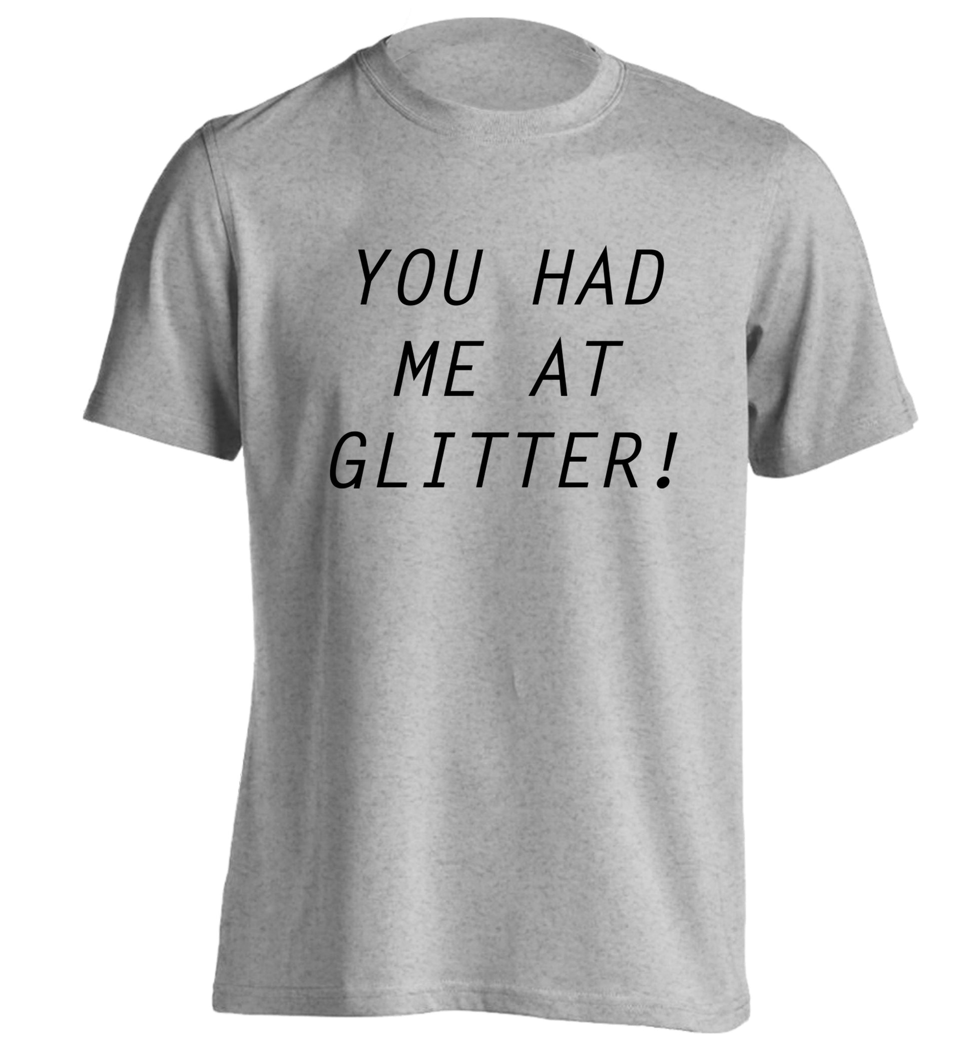 You had me at glitter adults unisex grey Tshirt 2XL
