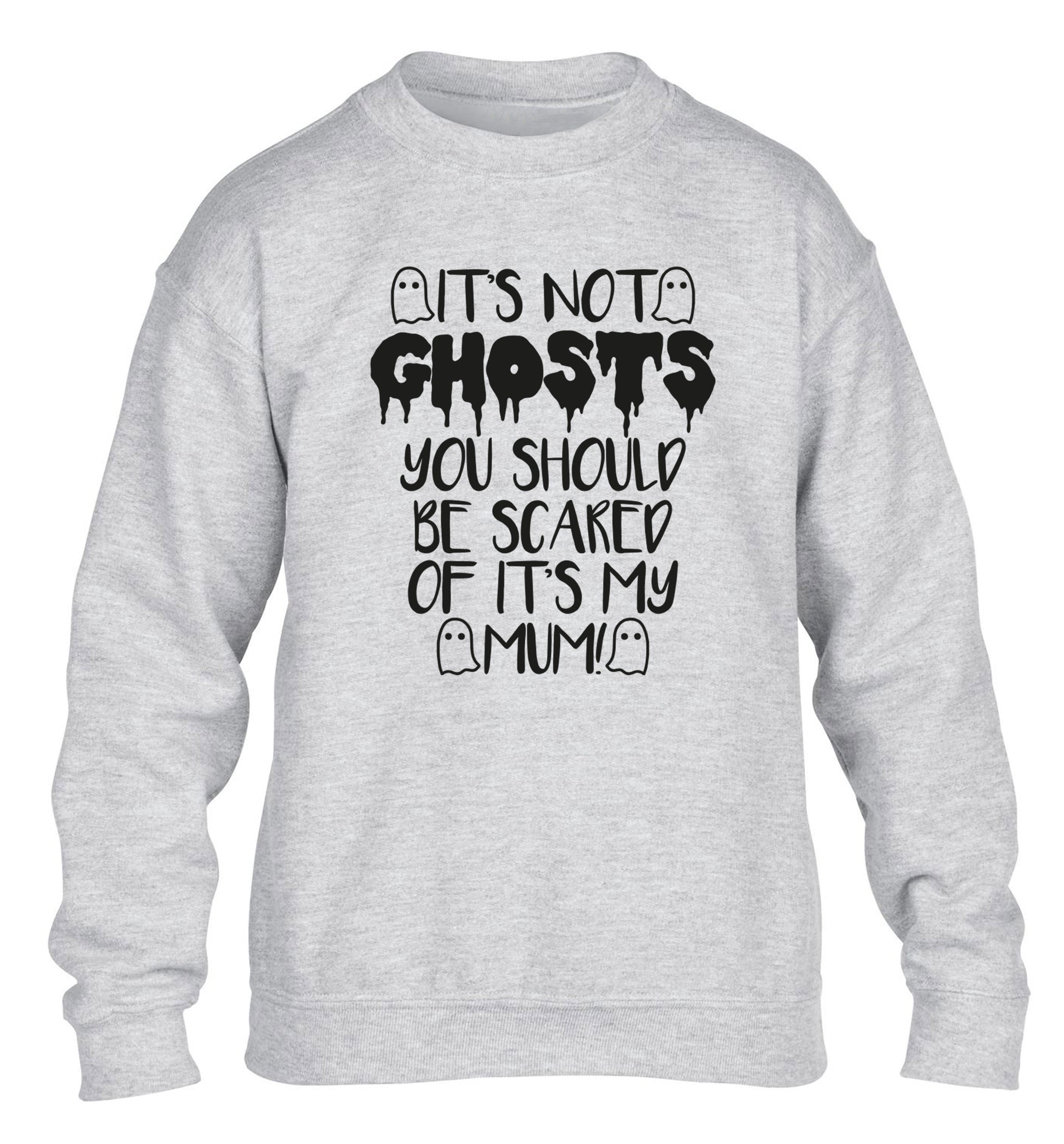 It's not ghosts you should be scared of it's my mum! children's grey sweater 12-14 Years