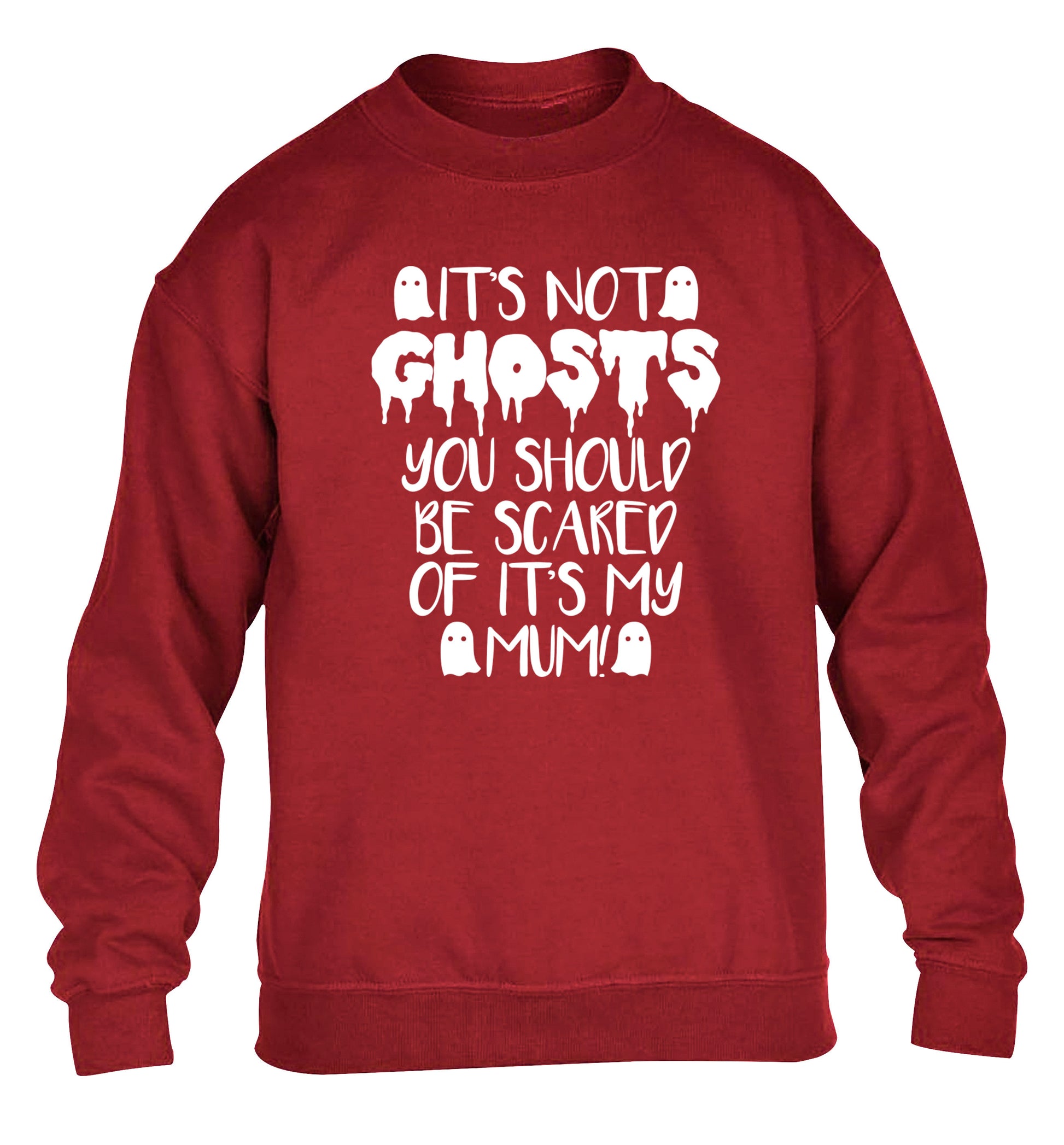 It's not ghosts you should be scared of it's my mum! children's grey sweater 12-14 Years