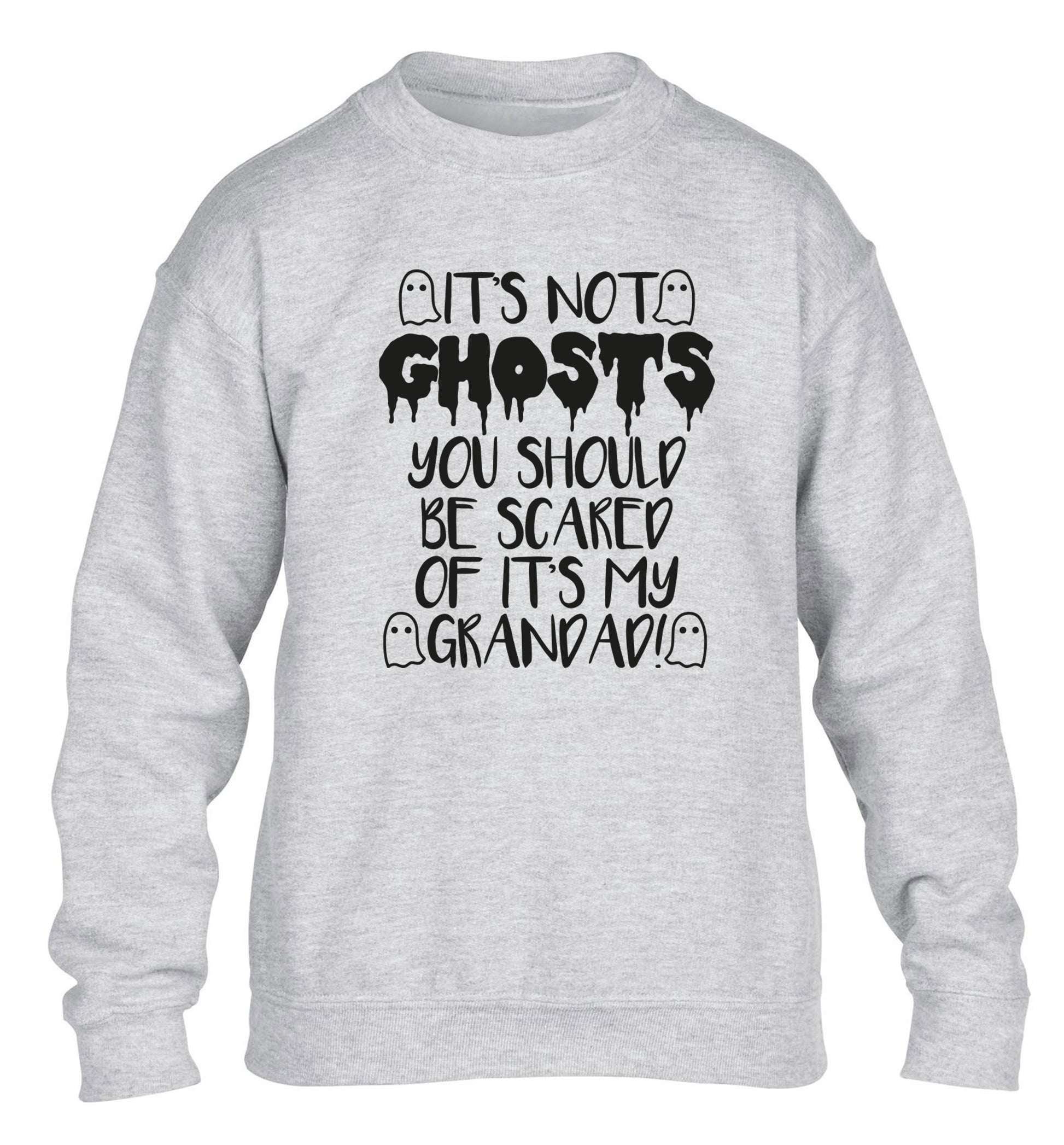 It's not ghosts you should be scared of it's my grandad! children's grey sweater 12-14 Years