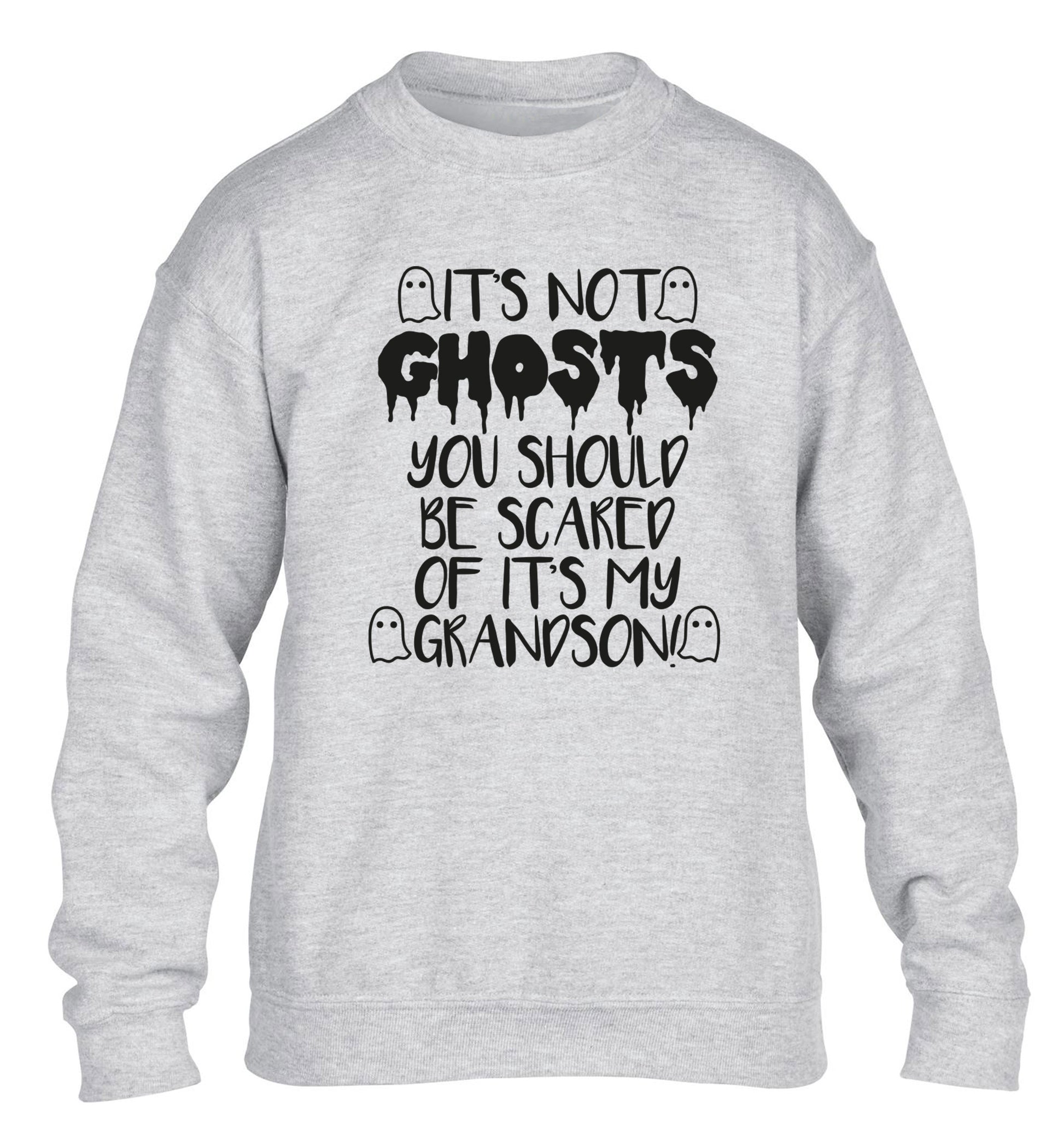 It's not ghosts you should be scared of it's my grandson! children's grey sweater 12-14 Years