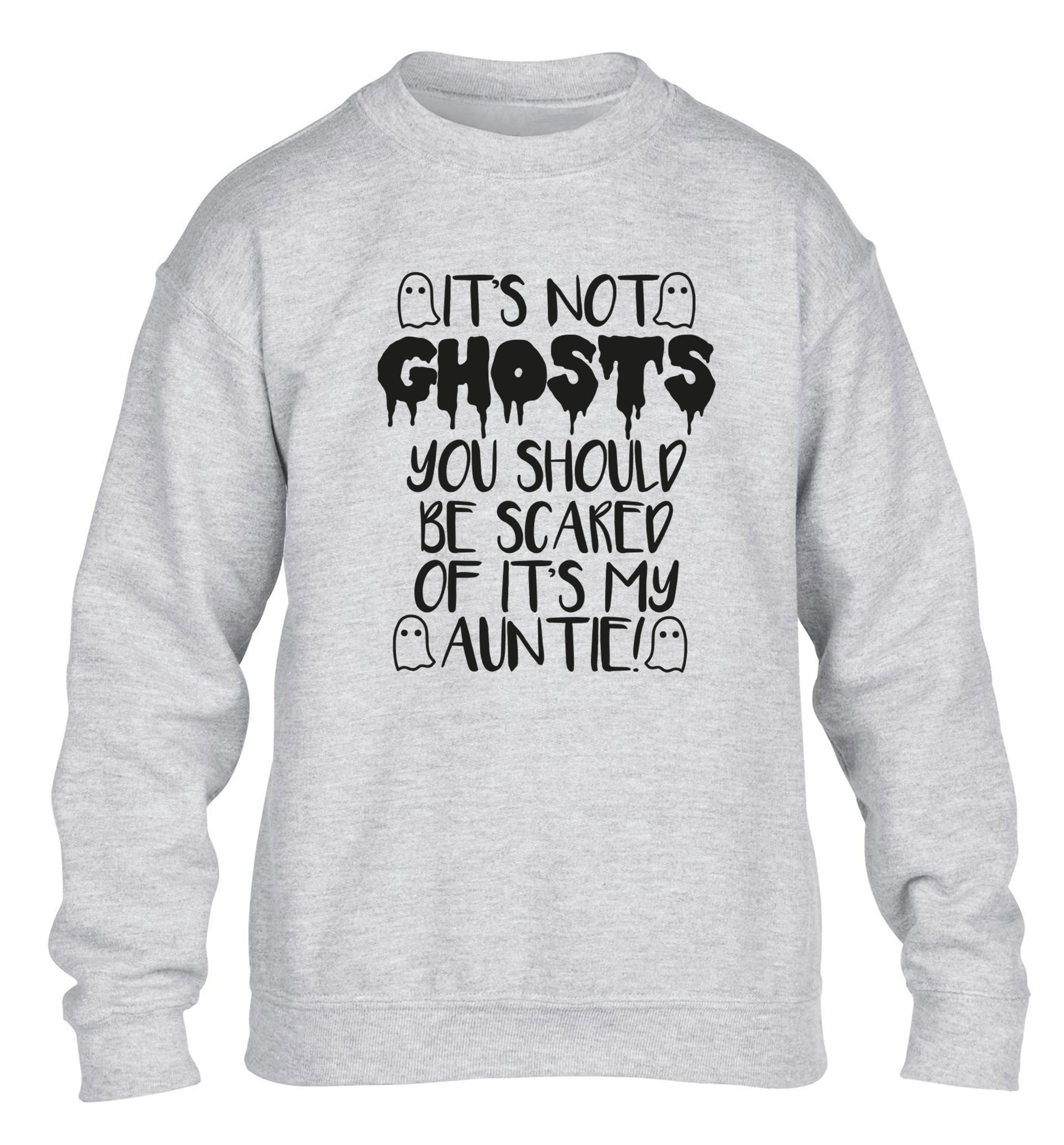 It's not ghosts you should be scared of it's my auntie! children's grey sweater 12-14 Years
