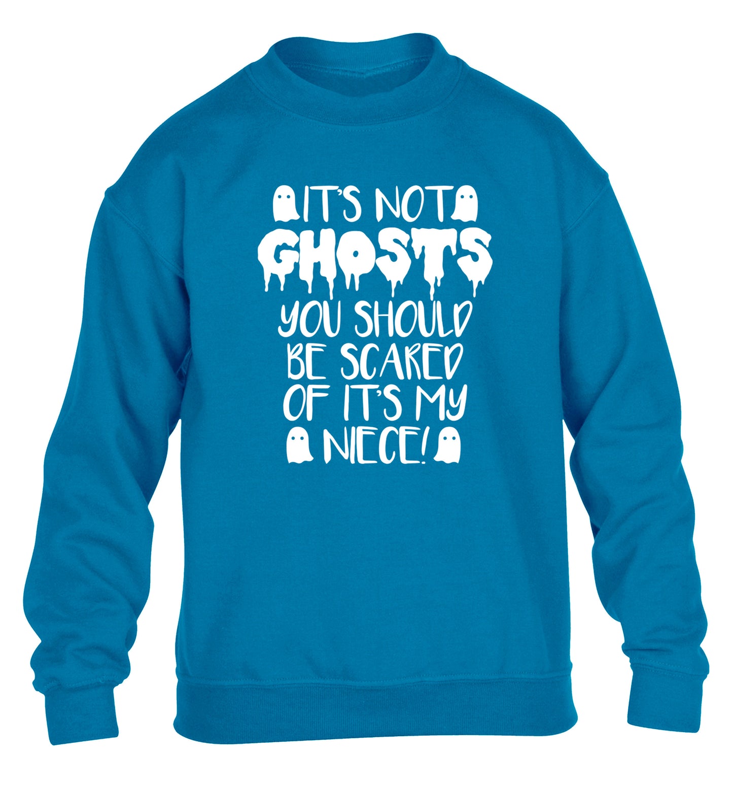 It's not ghosts you should be scared of it's my niece! children's blue sweater 12-14 Years