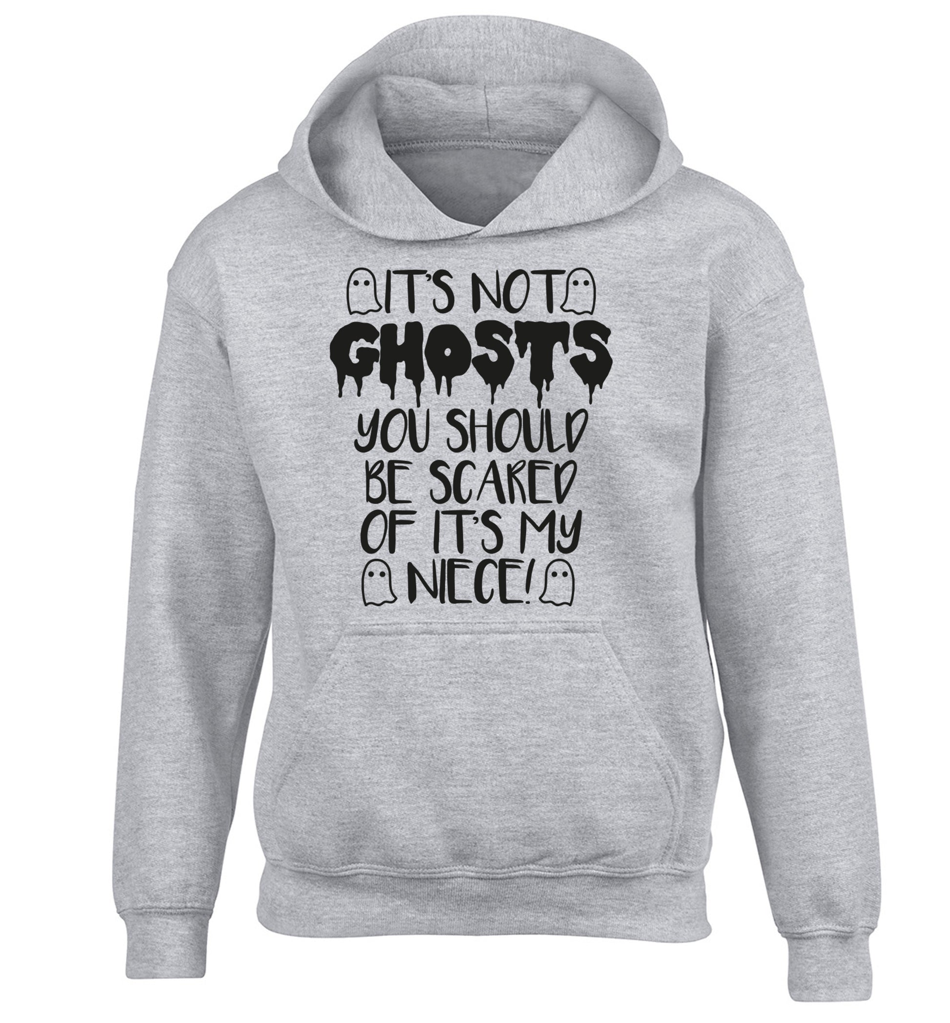 It's not ghosts you should be scared of it's my niece! children's grey hoodie 12-14 Years