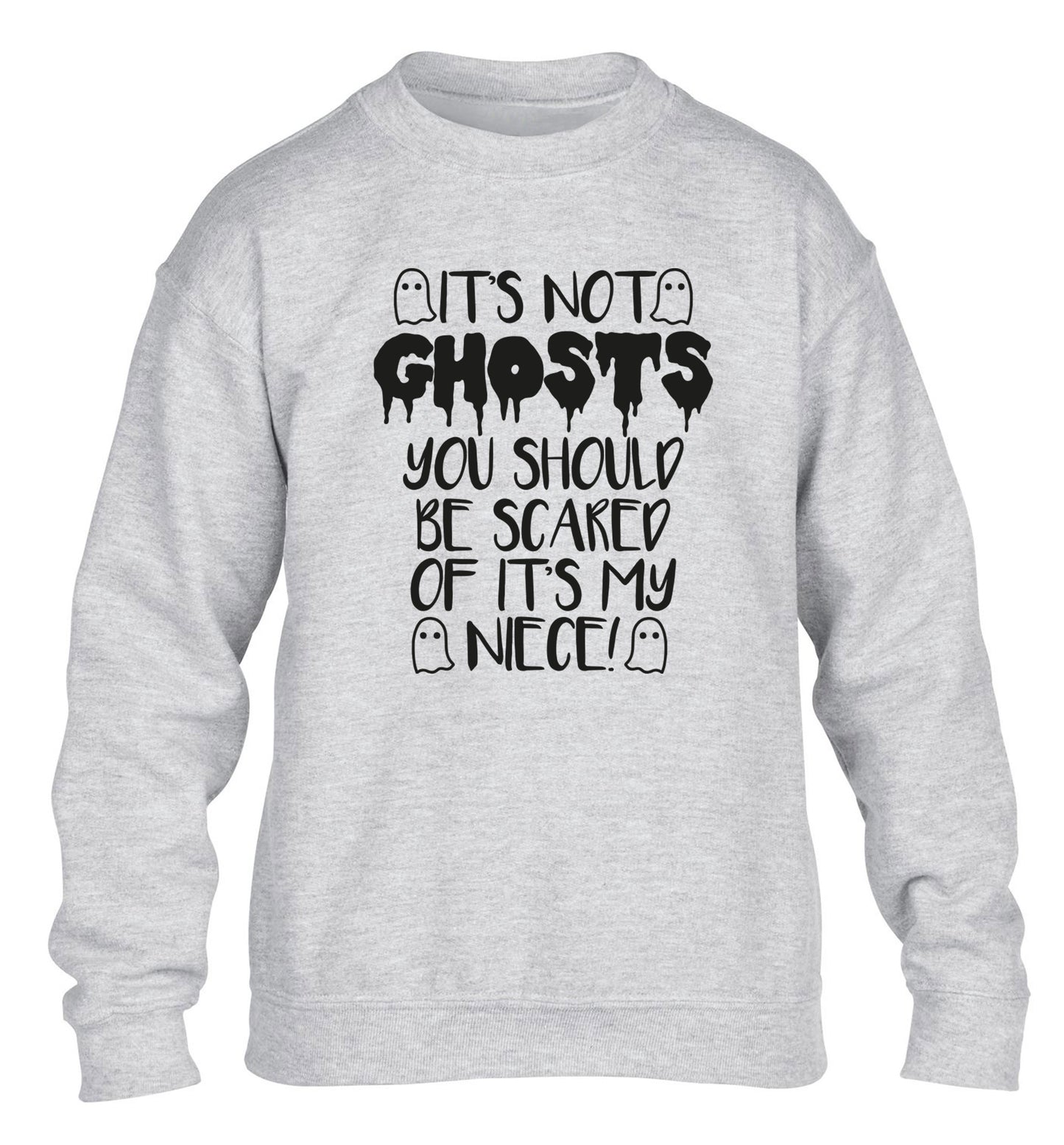 It's not ghosts you should be scared of it's my niece! children's grey sweater 12-14 Years