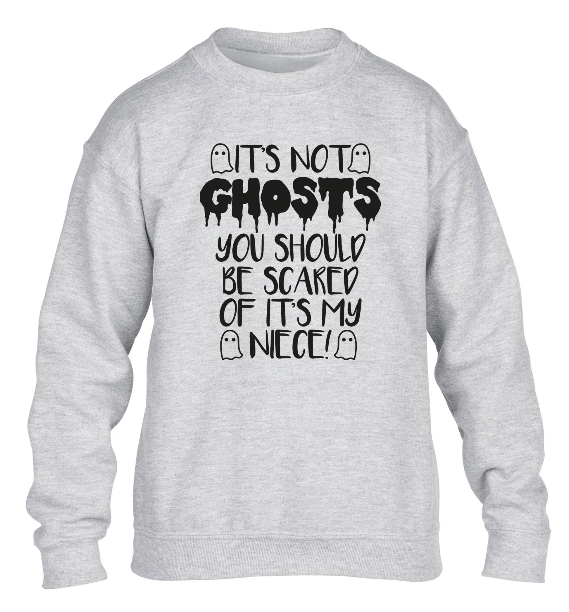 It's not ghosts you should be scared of it's my niece! children's grey sweater 12-14 Years