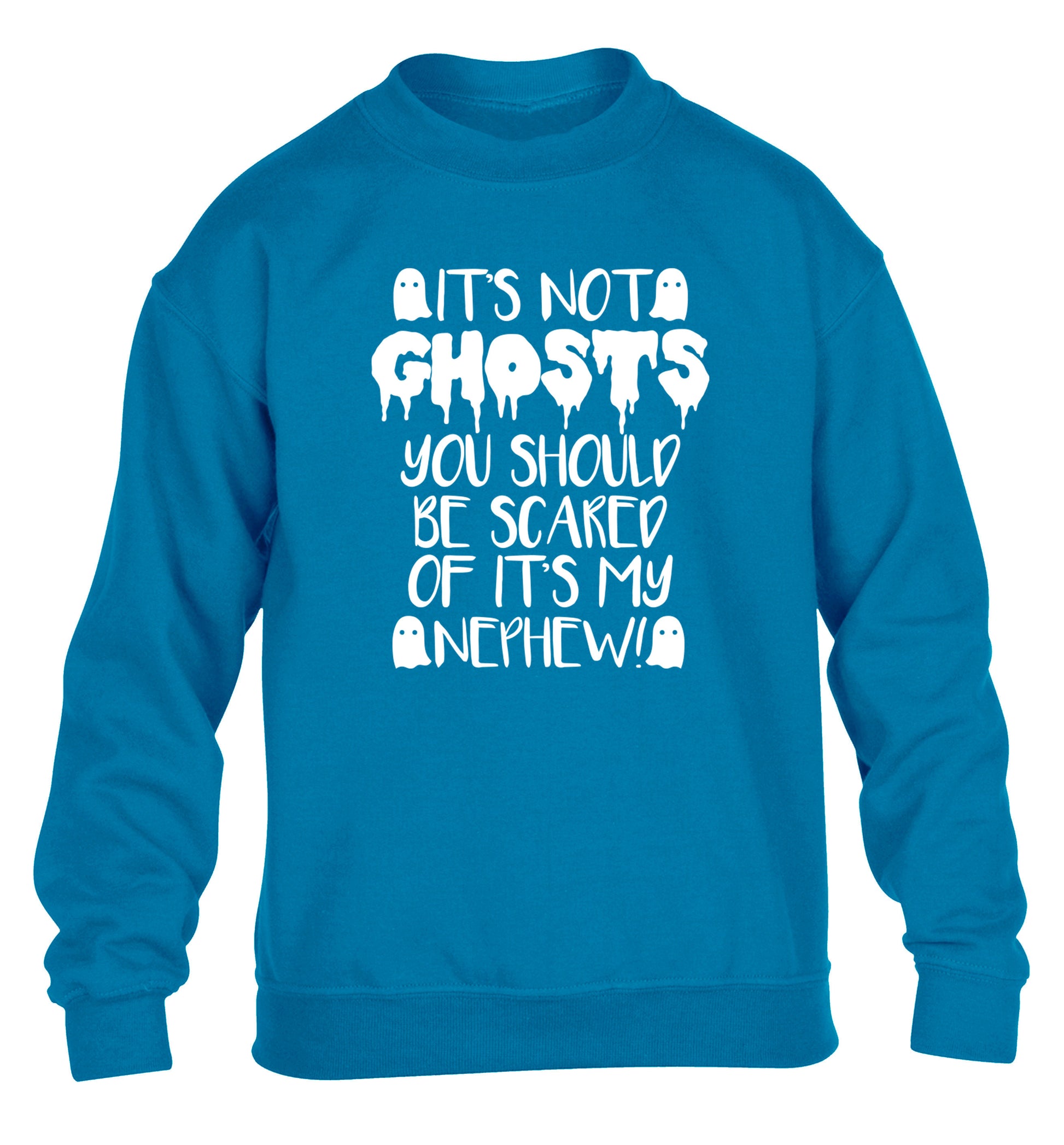 It's not ghosts you should be scared of it's my nephew! children's blue sweater 12-14 Years