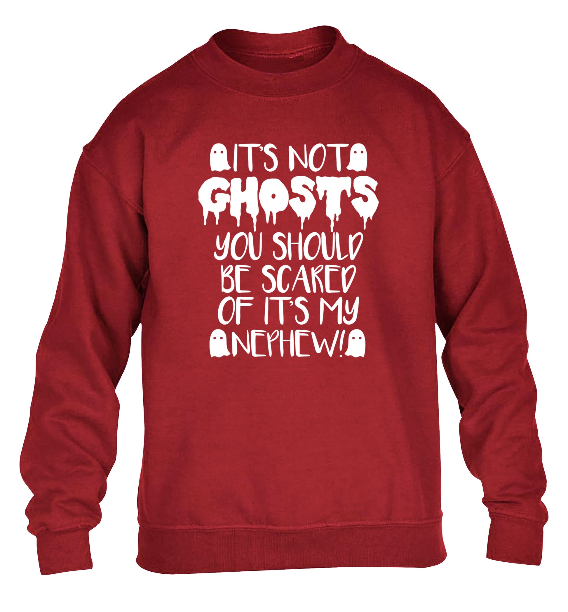 It's not ghosts you should be scared of it's my nephew! children's grey sweater 12-14 Years