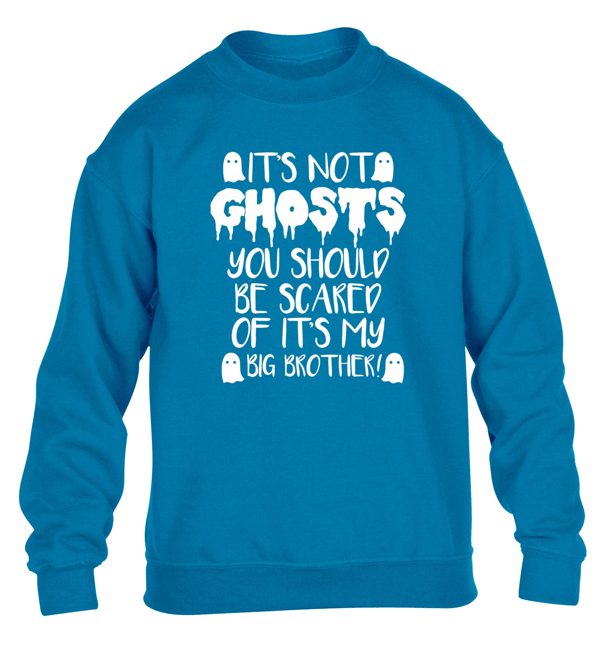 It's not ghosts you should be scared of it's my big sister! children's blue sweater 12-14 Years