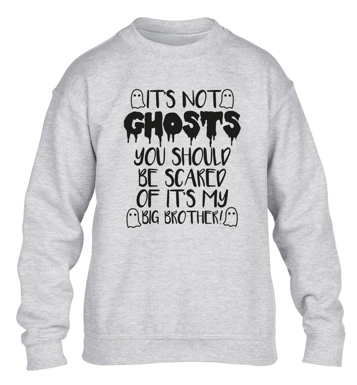 It's not ghosts you should be scared of it's my big sister! children's grey sweater 12-14 Years