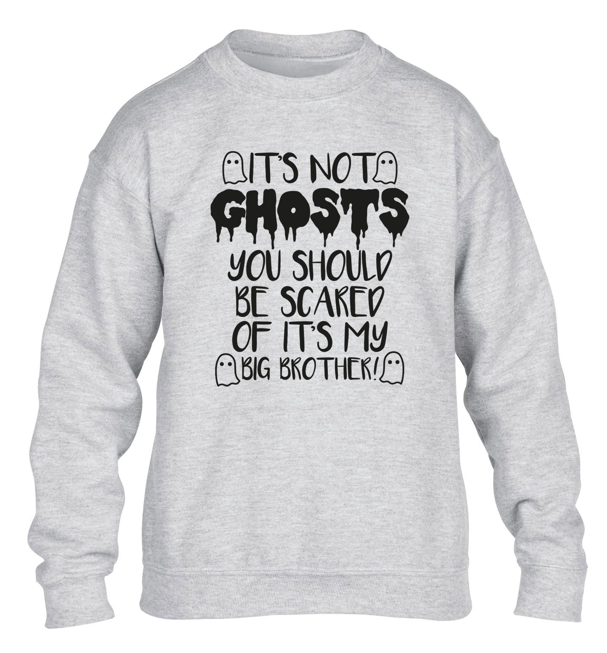 It's not ghosts you should be scared of it's my big sister! children's grey sweater 12-14 Years