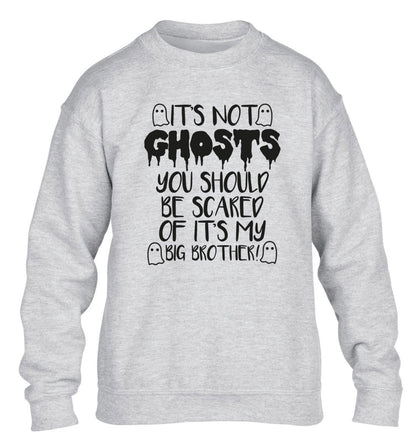 It's not ghosts you should be scared of it's my big sister! children's grey sweater 12-14 Years
